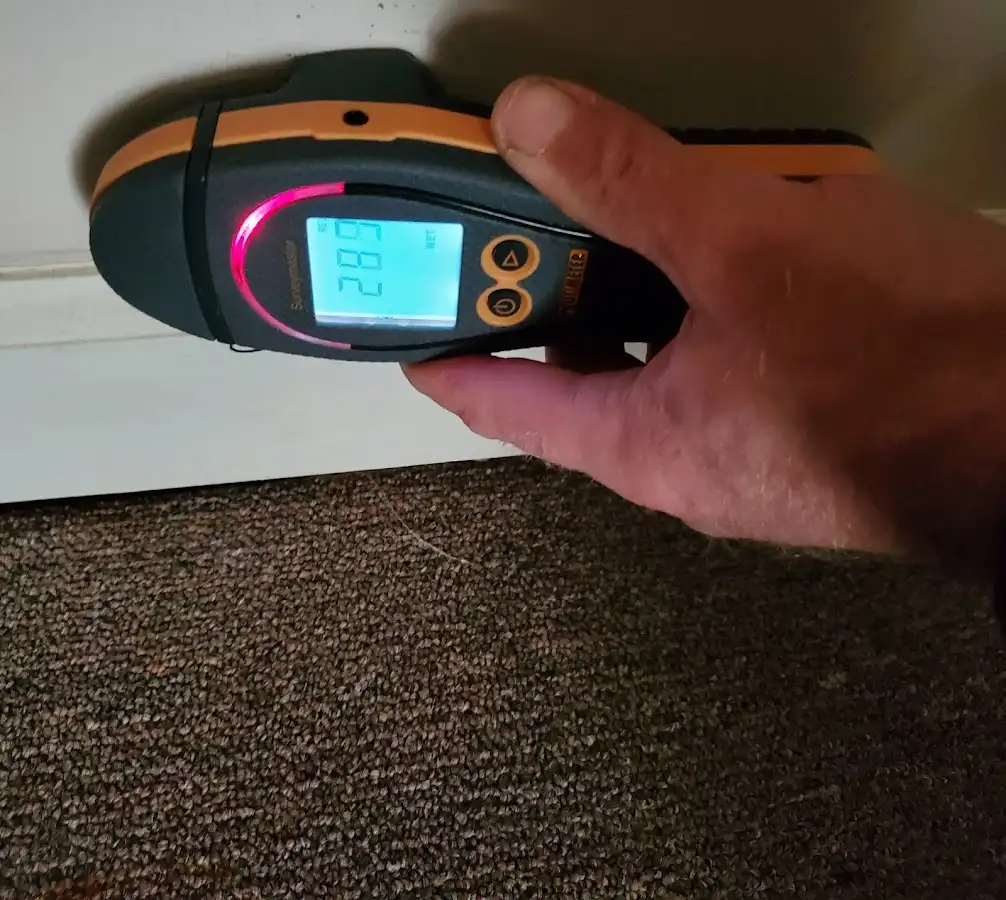 Moisture detection at baseboard during Mold Inspection & Testing in Richmond